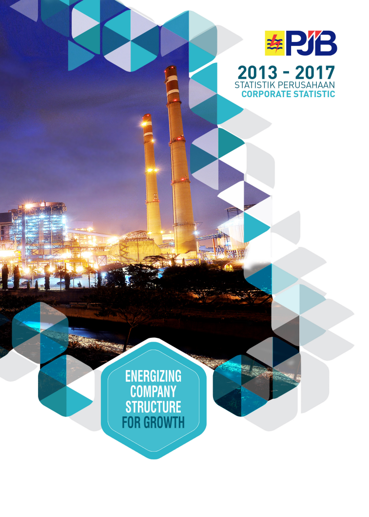 Corporate Statistic 2017