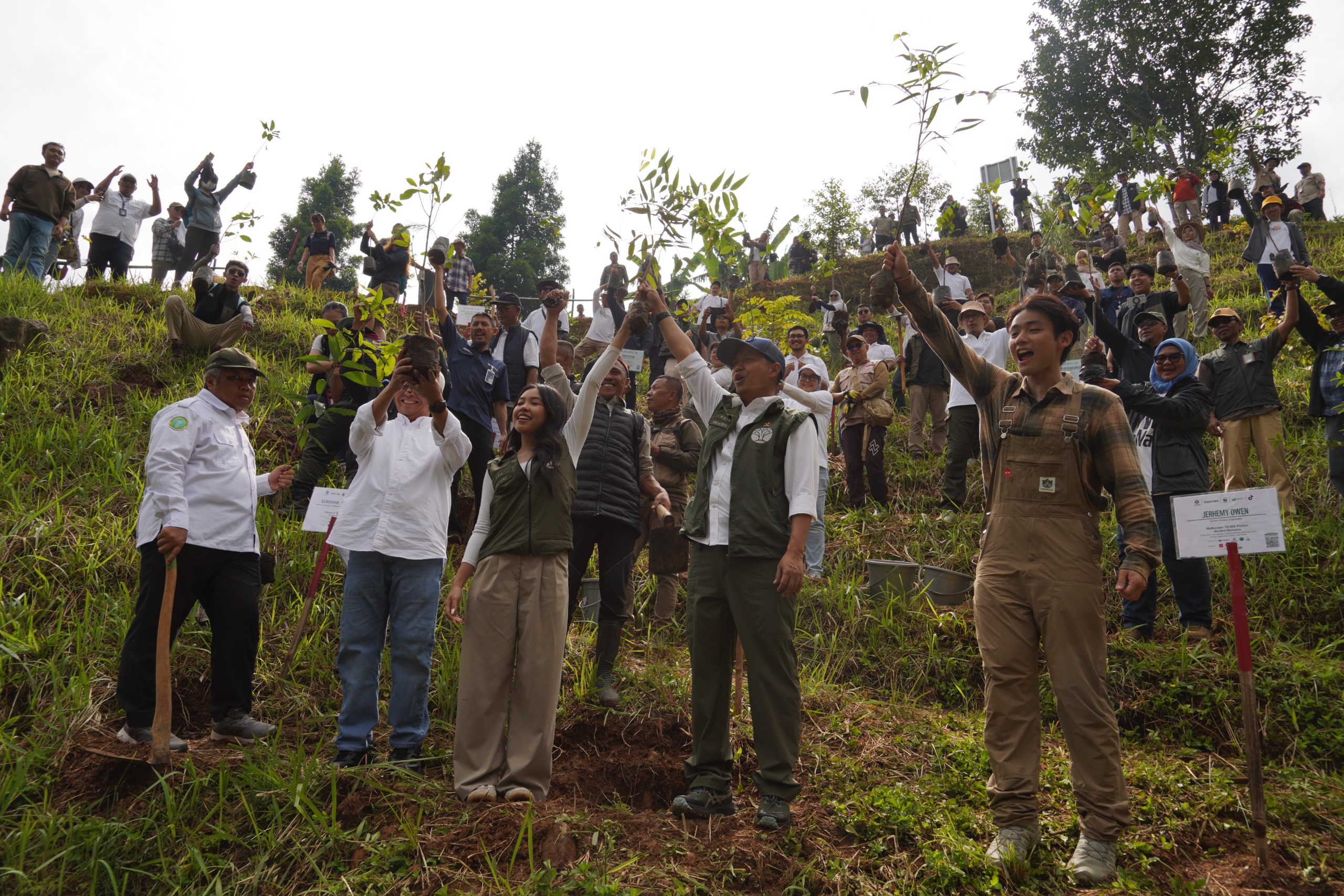 PLN NP Gandeng WWF dan Kementerian Hijaukan Jakarta dari Hulu