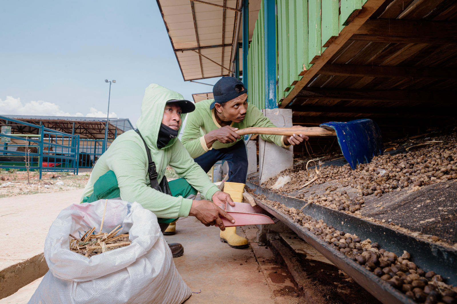 PLN Nusantara Power Hadirkan Solusi Hijau untuk Kemajuan Agrikultur Terpadu di Tuban