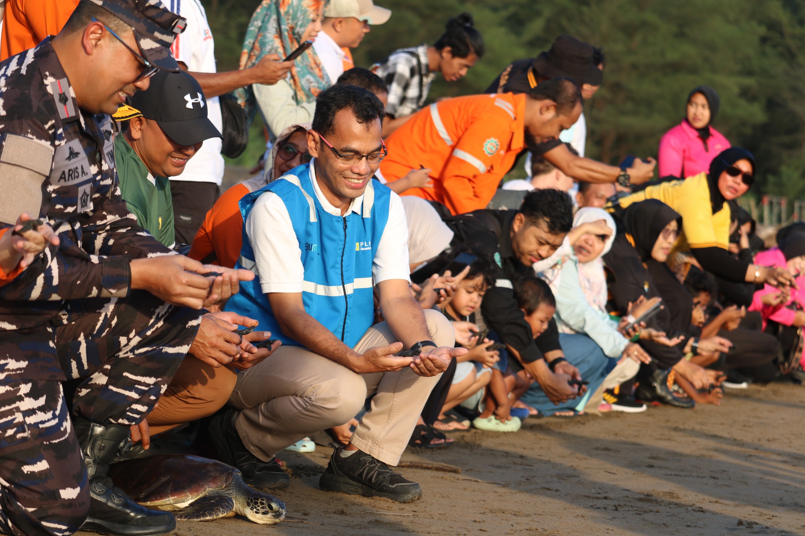 PLN NP Lepas 150 Tukik dan 1 Penyu Sisik di Pantai Pancer Door, Komitmen Lanjutkan Aksi Lingkungan Berkelanjutan