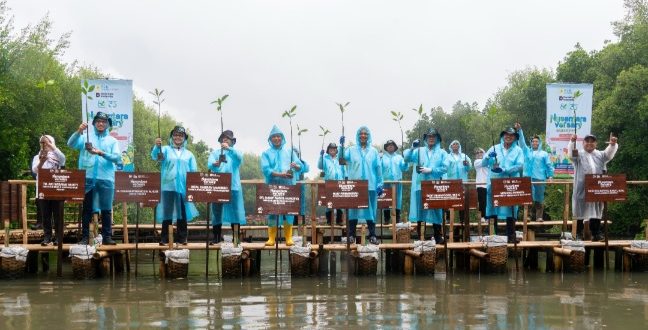 Through Nusantaraversary Green Fest, PLN Nusantara Power Greens Indonesia with 16,213 Trees