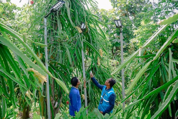 PLN Nusantara Power Realizes a Circular Economy Through Trenggulunan Agro View: Turning Waste into Value for Villages